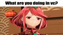 What Are You Doing In Vc Pyra GIF - What Are You Doing In Vc Pyra Xenoblade GIFs