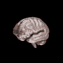 Brain GIF