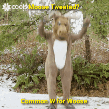 Moose Woose GIF - Moose Woose GIFs