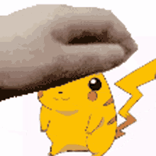 funny pikachufunny