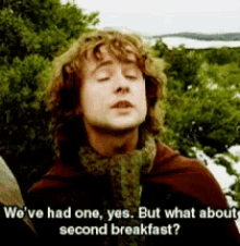 lotr fellowship of the ring hobbit second breakfast