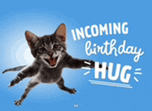 a cat is flying in the air with the words incoming birthday hug