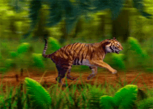 Tiger Forest GIF - Tiger Forest Run GIFs