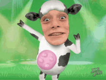 Cow Funny GIF - Cow Funny Excited GIFs