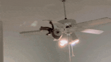 a white ceiling fan with a light on it