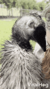 Hugging Viralhog GIF - Hugging Viralhog Embracing GIFs