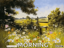 Morning Flowers GIF - Morning Flowers Butterflies GIFs
