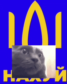 a mcdonald 's logo with a cat behind it