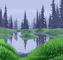 Pond Grass GIF - Pond Grass Hill GIFs