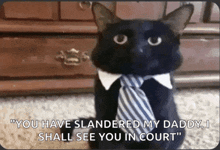 Lawyer Cat GIF