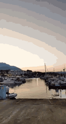 Sunset Boats GIF