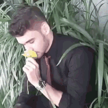Gustavo Mota Flower GIF - Gustavo Mota Flower Sniff GIFs