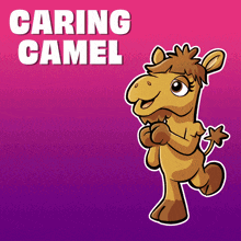 a cartoon camel is standing in front of a pink and purple background that says caring camel