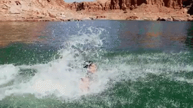 So Majestic GIF - Dolphin Man Swimming - Discover & Share GIFs