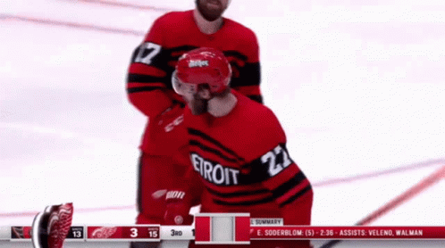 Sports nhl detroit red wings GIF - Find on GIFER