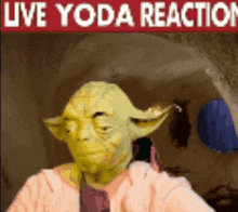 Yoda Live Yoda Reaction GIF - Yoda Live Yoda Reaction GIFs