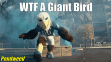Philly Eagles GIF - Philly Eagles Wtf GIFs