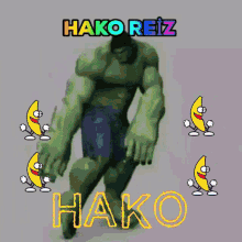 Haktan Hako GIF - Haktan Hako Hako Reiz GIFs