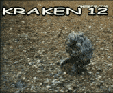 a picture of an octopus with the words kraken 12 on the bottom