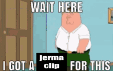 Jerma Jerma Clip GIF - Jerma Jerma Clip Wait Here GIFs