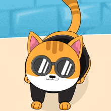 Wiggle Cat GIF - Wiggle Cat Wiggle Cat GIFs