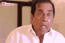 Shocked Brahmi GIF - Shocked Brahmi Confused GIFs