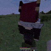 a screenshot of a video game called minecraft with a player named fizybat
