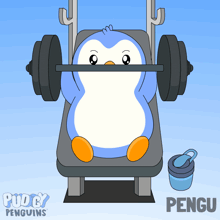 a cartoon of a penguin lifting a barbell with the name pengu on the bottom right