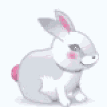 white bunnt pink heart tail bunny