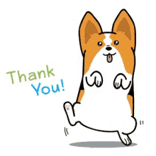 Thank You Corgi GIF - Thank You Corgi Dog GIFs