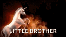 Happy Birthday Little Brother Unicorns Of Fire GIF - Happy Birthday Little Brother Unicorns Of Fire Flames GIFs