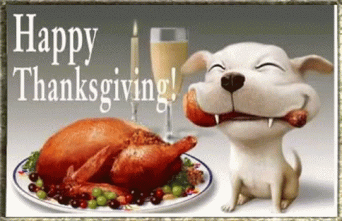 thanksgiving dog gif