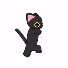 Cat Dance Toothless GIF