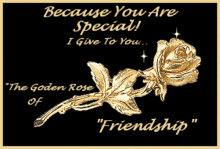 Special Someone Friendship GIF - Special Someone Friendship Gold GIFs