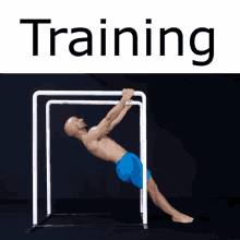 Training Fast GIF