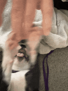 a blurry picture of a person petting a cat