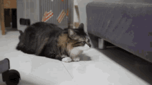 Why Does My Cat Howl At Night GIF - Why Does My Cat Howl At Night GIFs