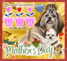 Mother'S Day Mom GIF - Mother'S Day Mom GIFs