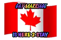 a canadian flag with the words gay marriage is here 2 stay above it