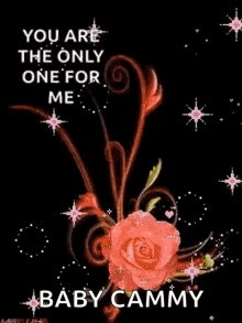love only one sparkles you are the only one for me sparkle