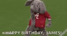 happy dancing birthday james elephant costume costume
