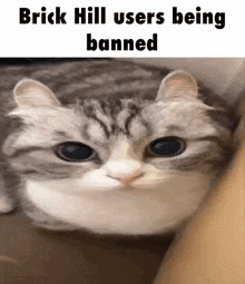 Brick-hill Brick-hill Users GIF - Brick-hill Brick-hill Users Banned GIFs