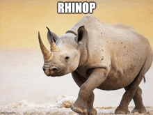a picture of a rhino with the word rhinop written on it