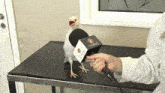 a person is holding a tv news microphone in front of a bird