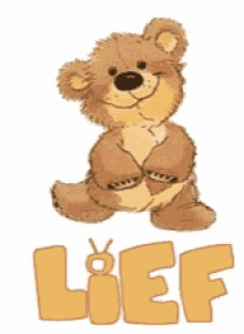 Lief Teddy Bear GIF - Lief Teddy Bear GIFs