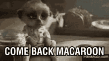 Come Back Macaroon GIF - Come Back Macaroon GIFs