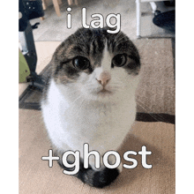 Lagghost GIF - Lagghost GIFs