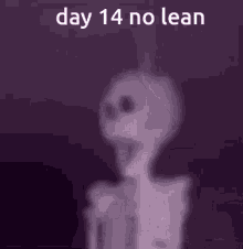 No Lean Day14no Lean GIF - No Lean Day14no Lean GIFs