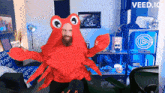 Heyartv Crabe GIF