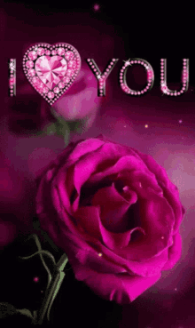 I Love You Pink Rose GIF - I Love You Pink Rose GIFs